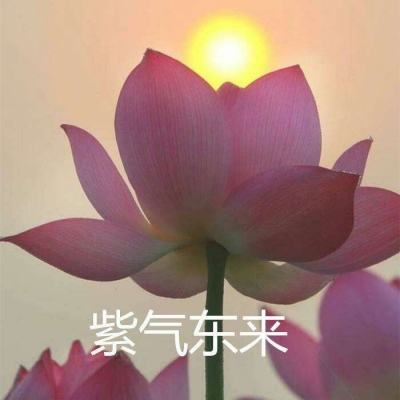 永赢成长领航混合C净值上涨3.01%